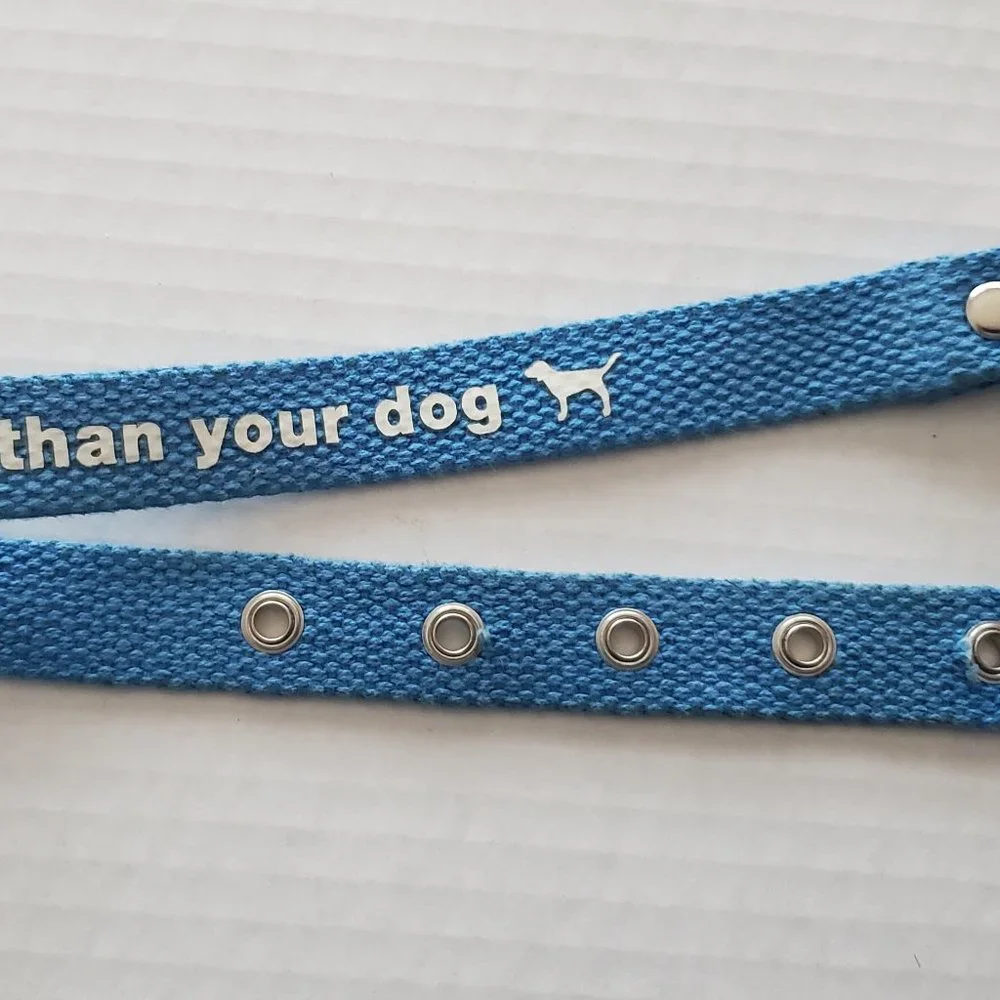 HTF Victoria Secret Pink RARE Dog Collar Vintage 2000's Aqua Blue Sooo Pretty - Picture 1 of 10